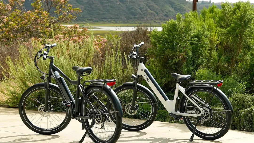 The Green Revolution Impact of Electric Bikes Scooters