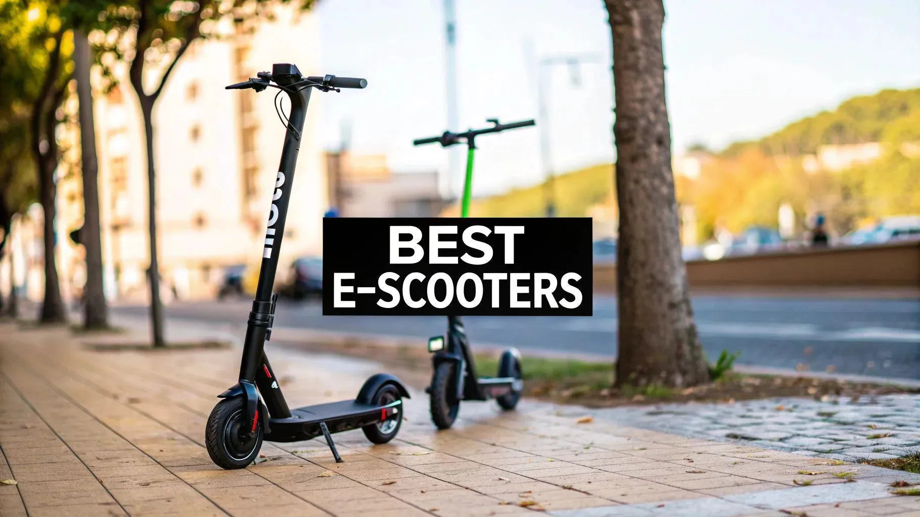 Best Electric Scooters For Adults