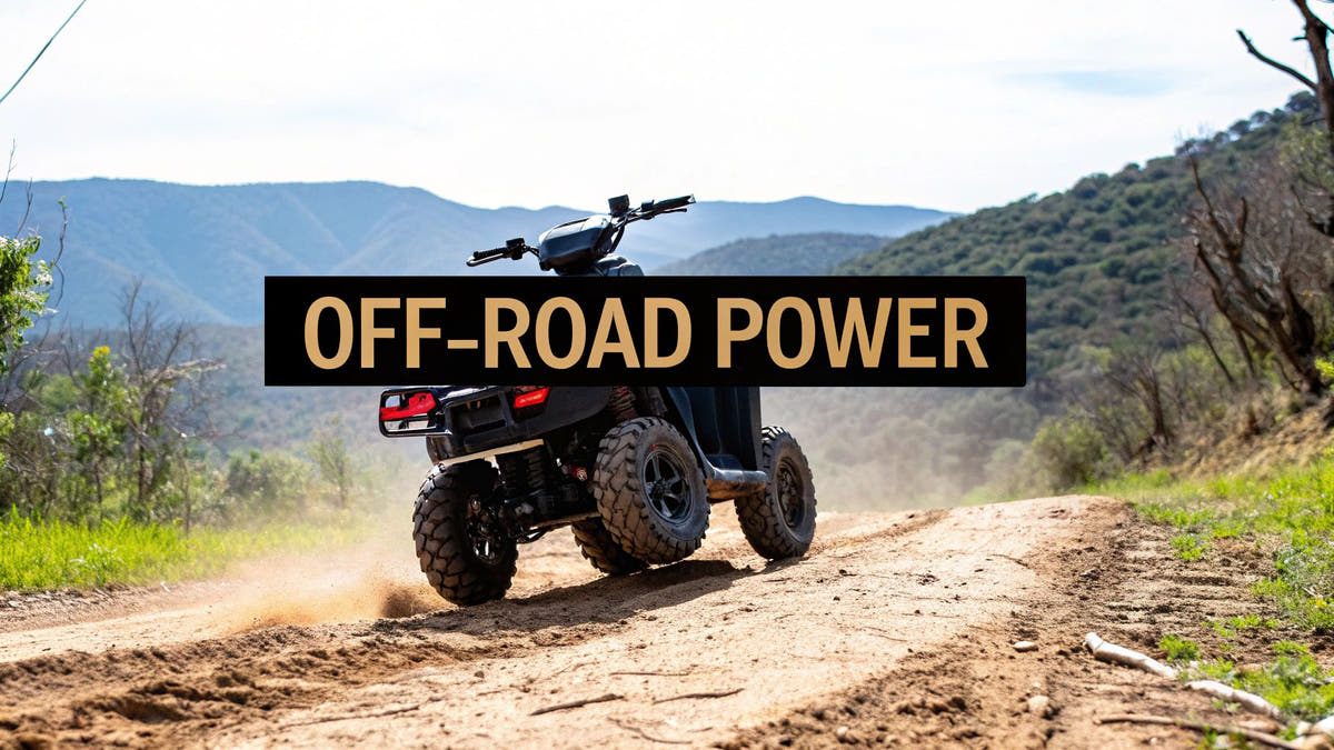 Finding the Best Off Road Motor Scooter for Your Adventures