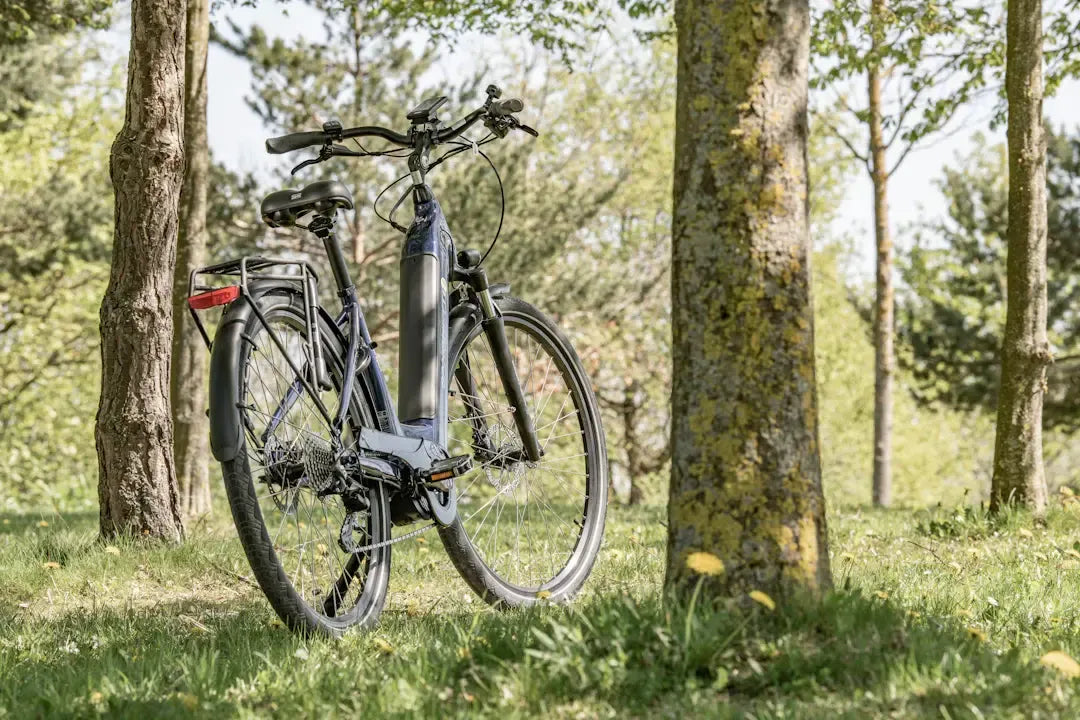 Maximise Your Electric Bike or Scooter Battery Life