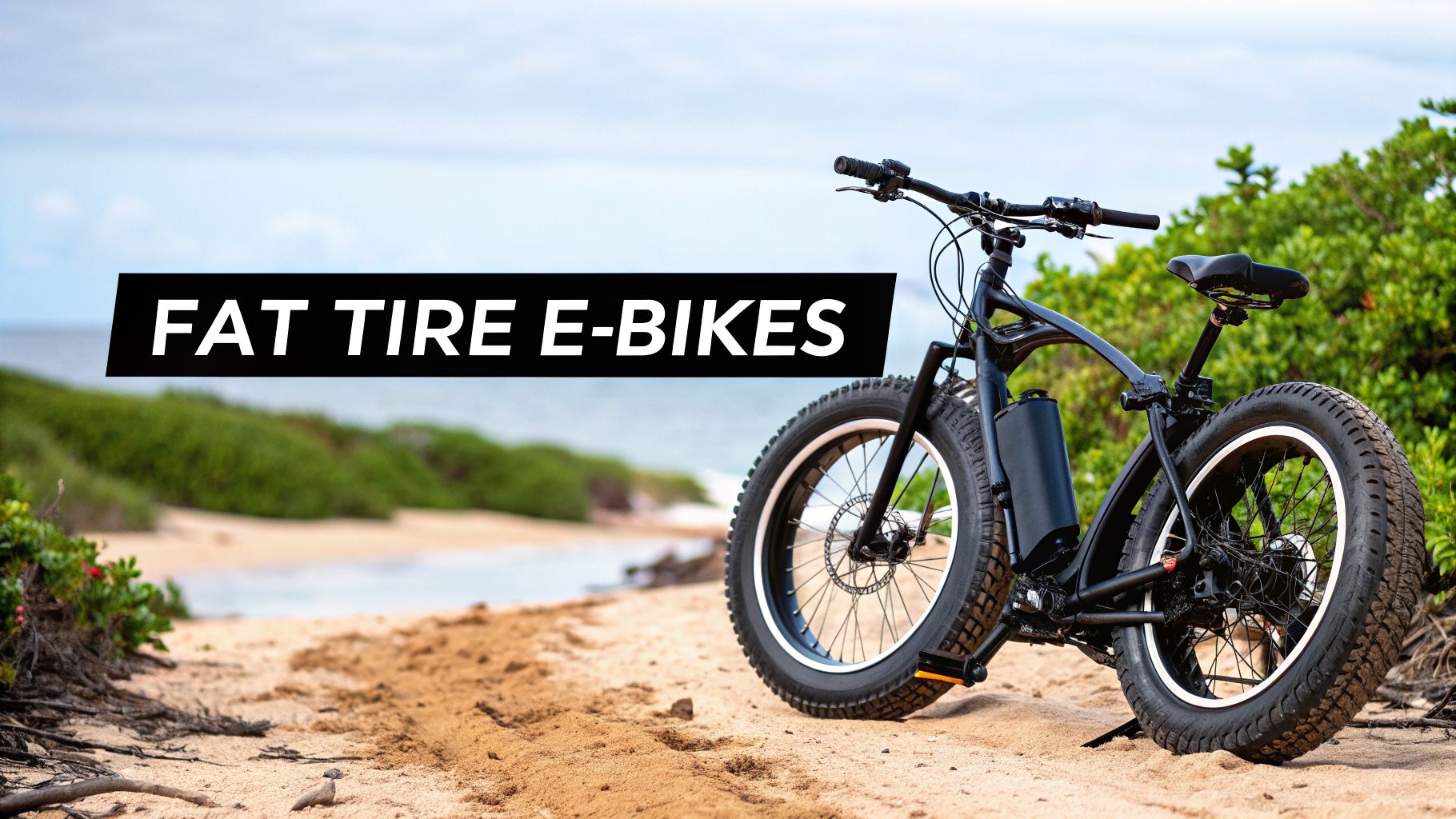 Your Complete Guide to Buying a Fat Tire E Bike