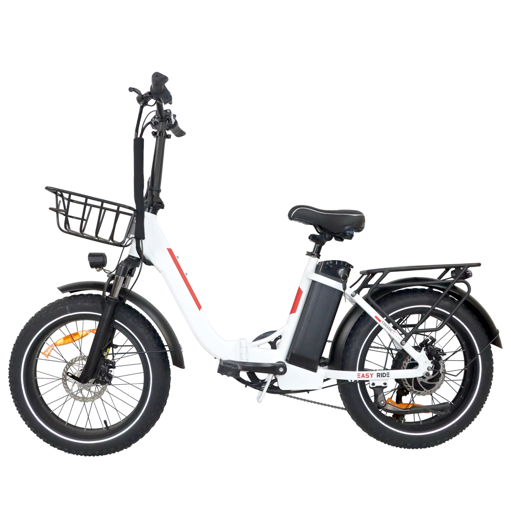 DriveTron DZ2030 Electric Bike, 750W Motor, 40KM/H Speed, 35-45KM Range, 20x4.0” Fat Tires, 48V 13Ah Battery, SHIMANO 7-Speed, Foldable