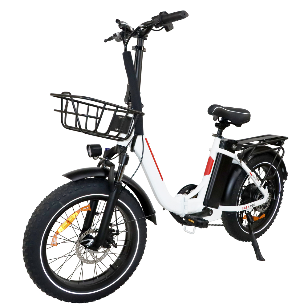 DriveTron DZ2030