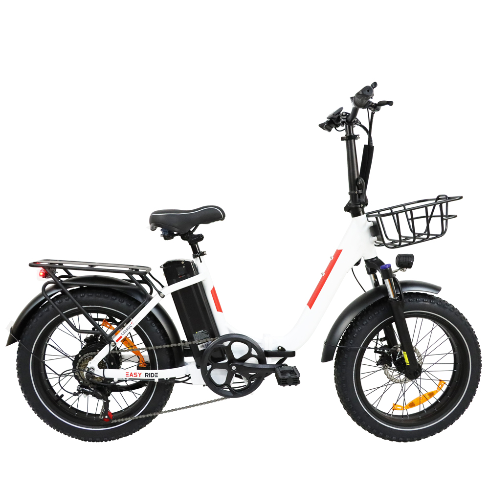 DriveTron DZ2030