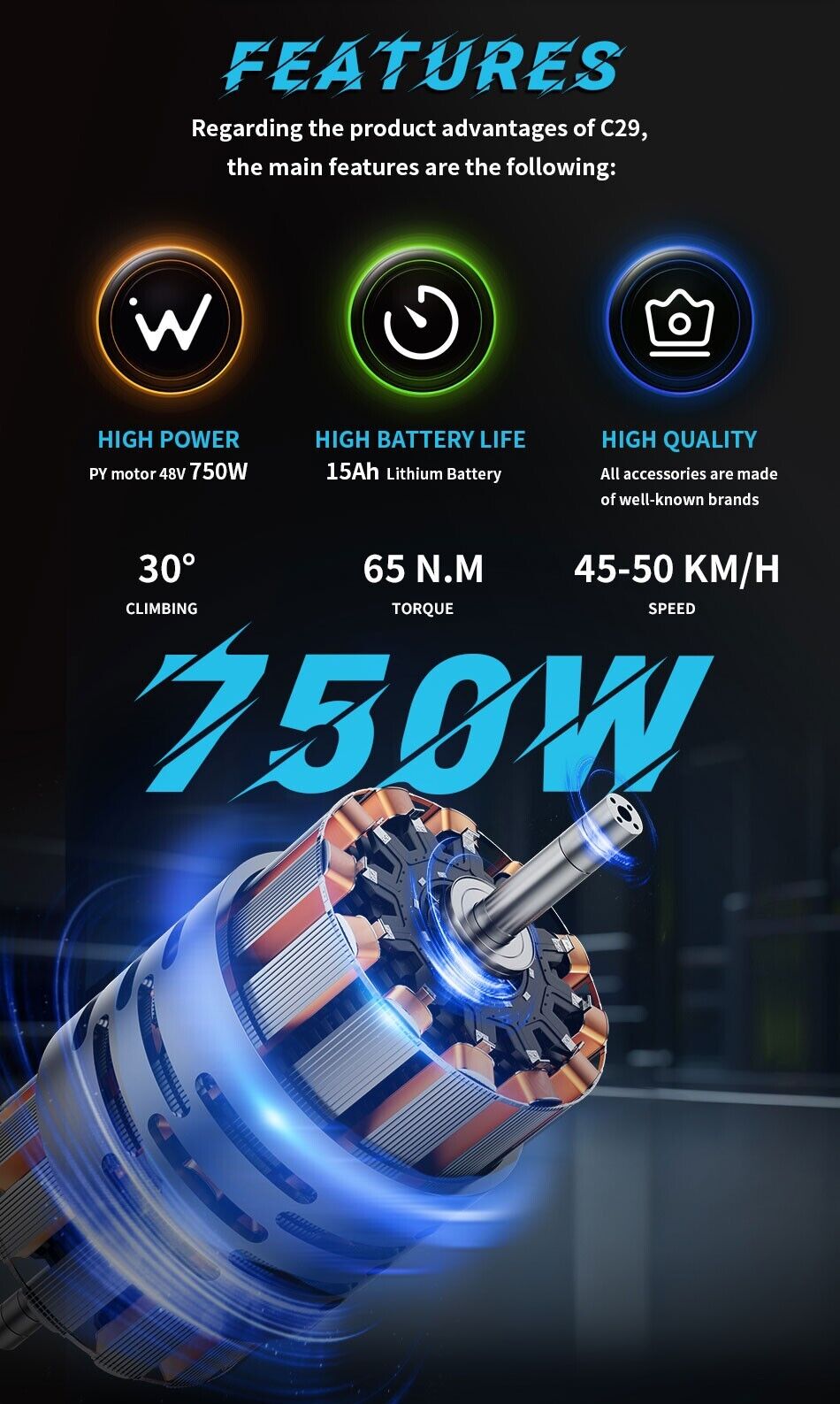 Duotts C29 Electric Bike