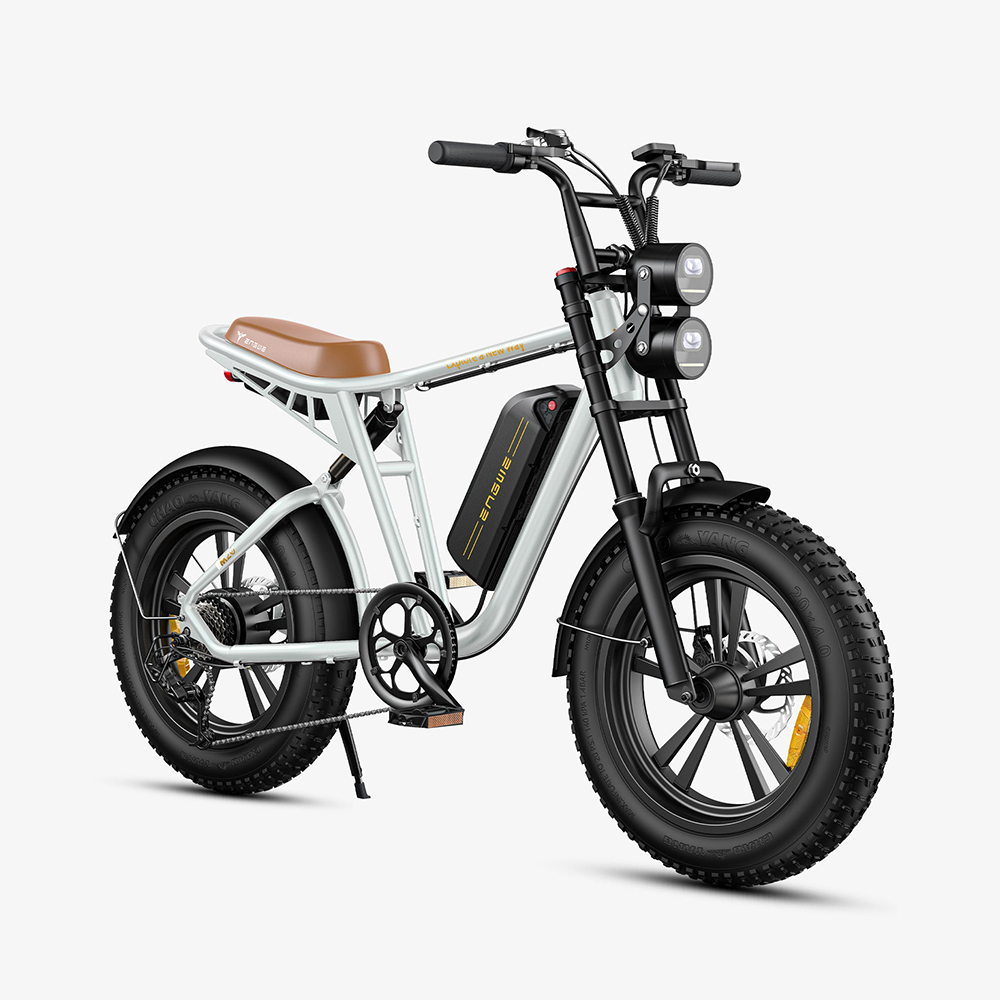 ENGWE M20