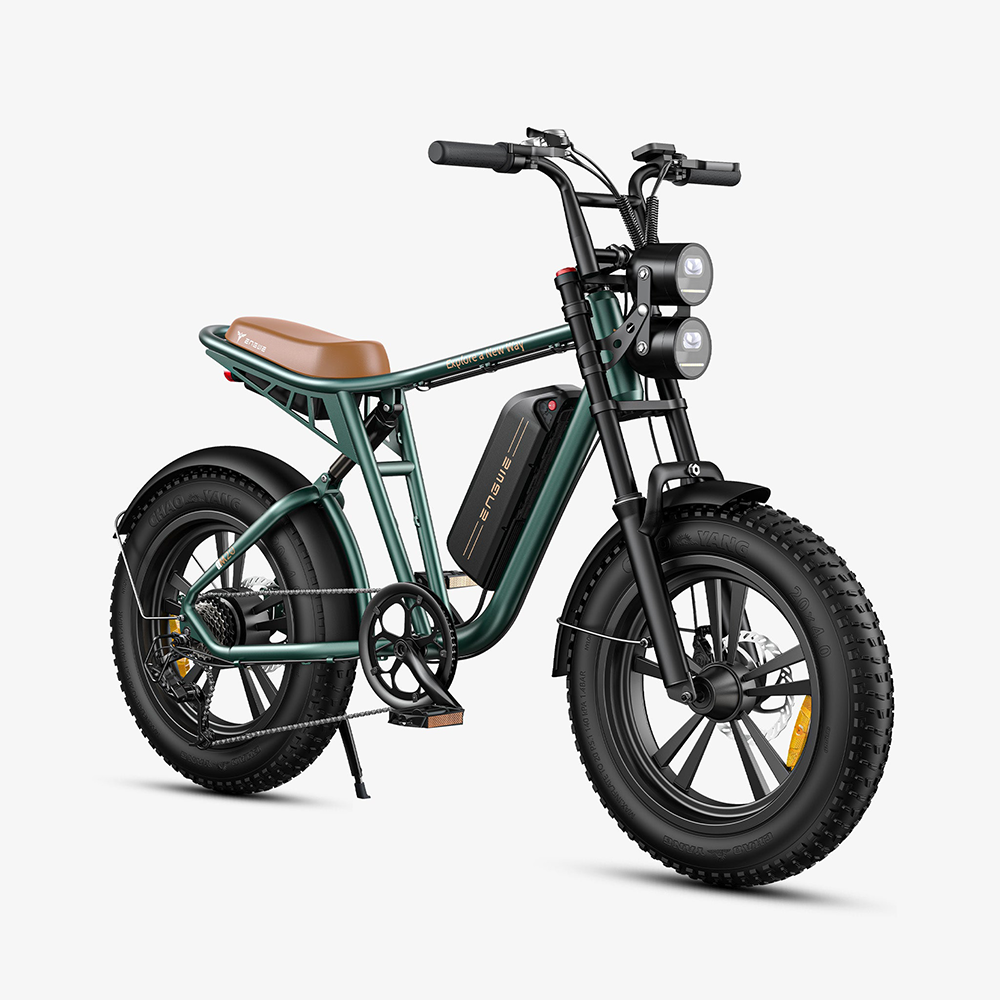 ENGWE M20