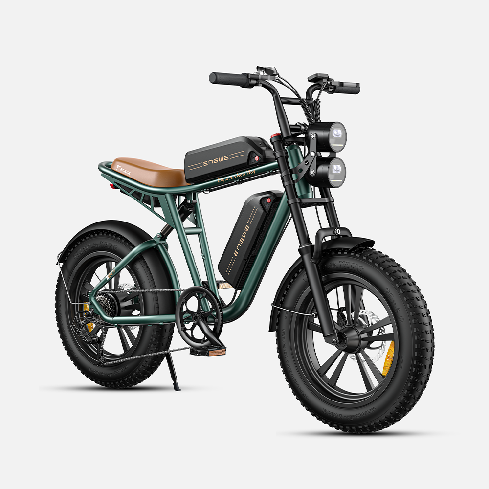 ENGWE M20