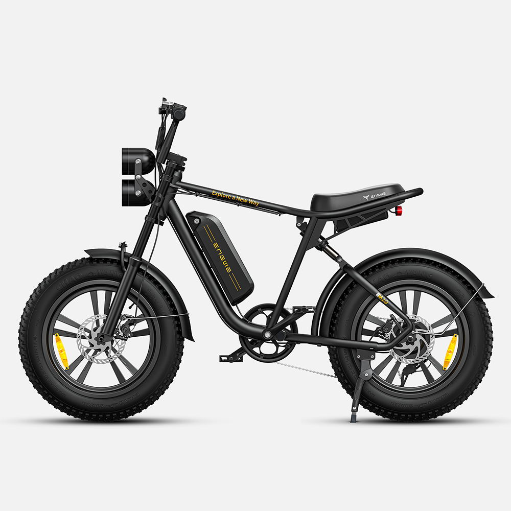 ENGWE M20