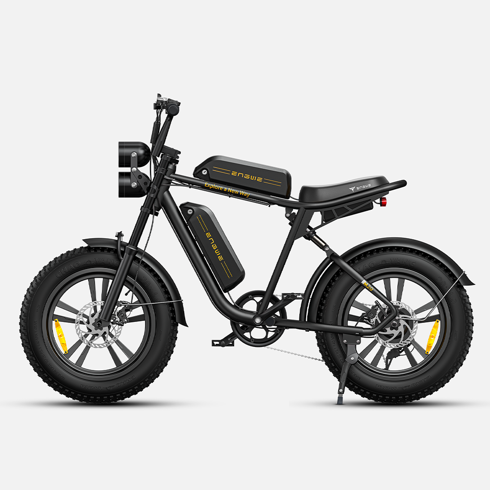 ENGWE M20