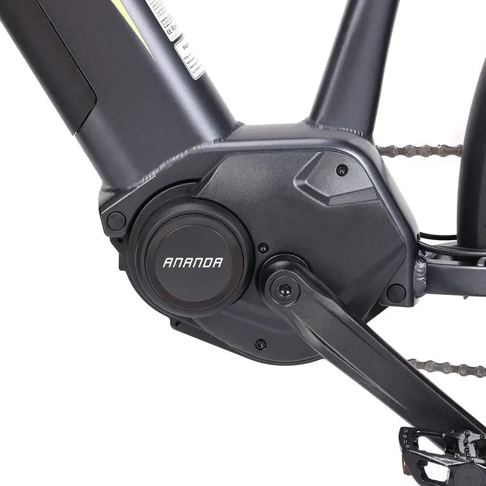 Eleglide C1 Step-Thru Electric Bike