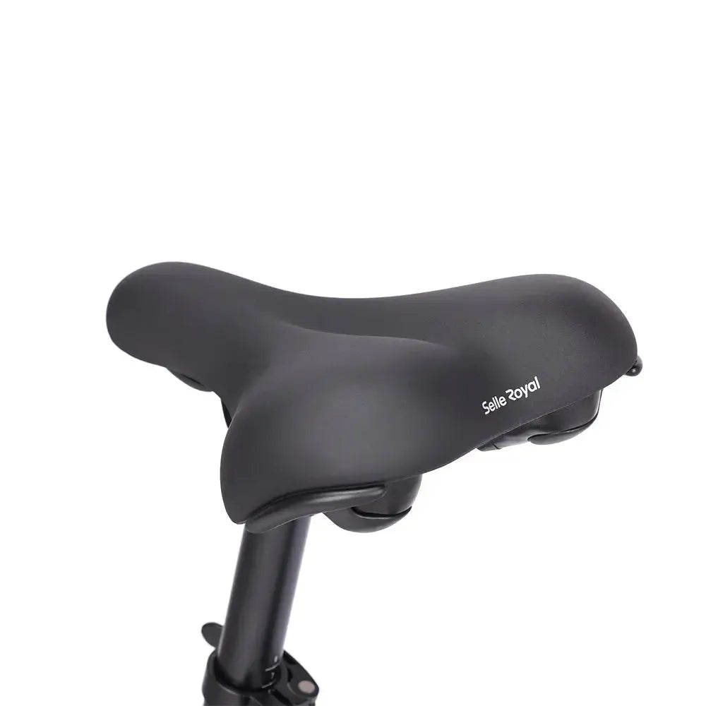 Eleglide C1 Step-Thru Electric Bike