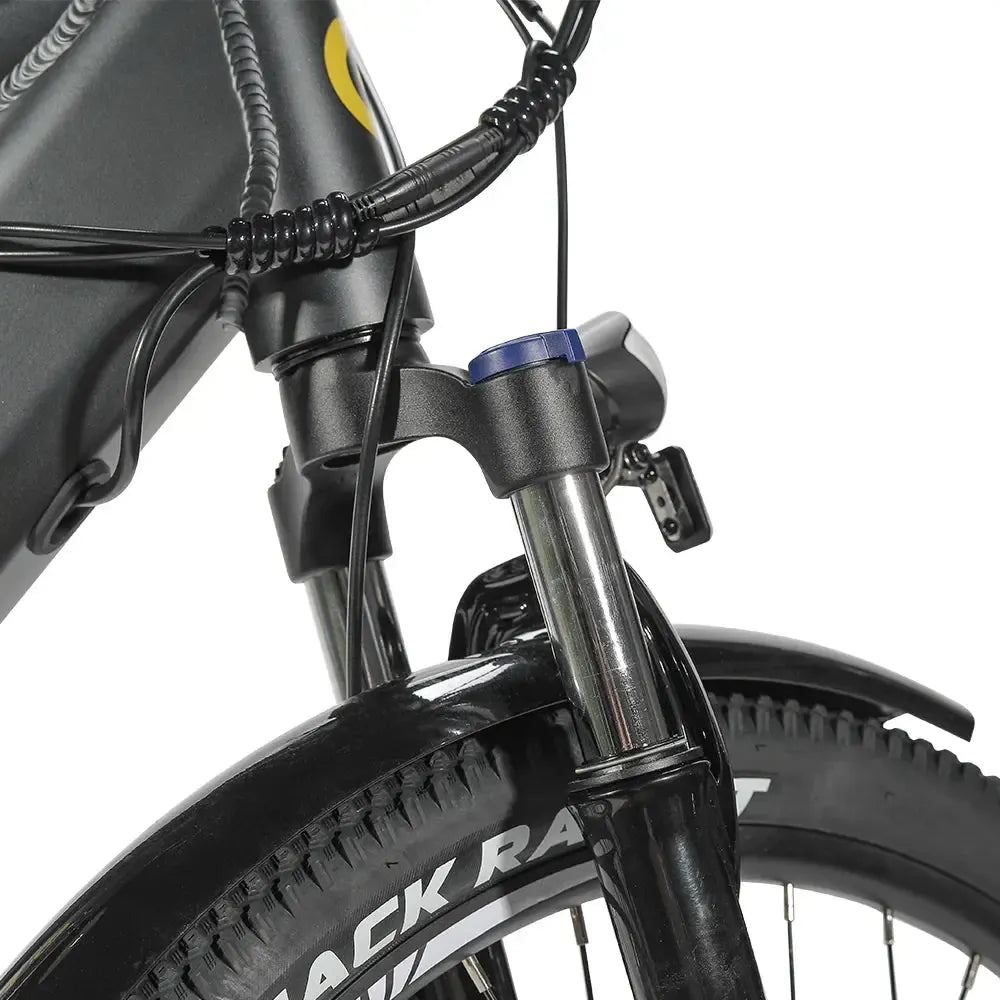 Eleglide T1 Electric Bike