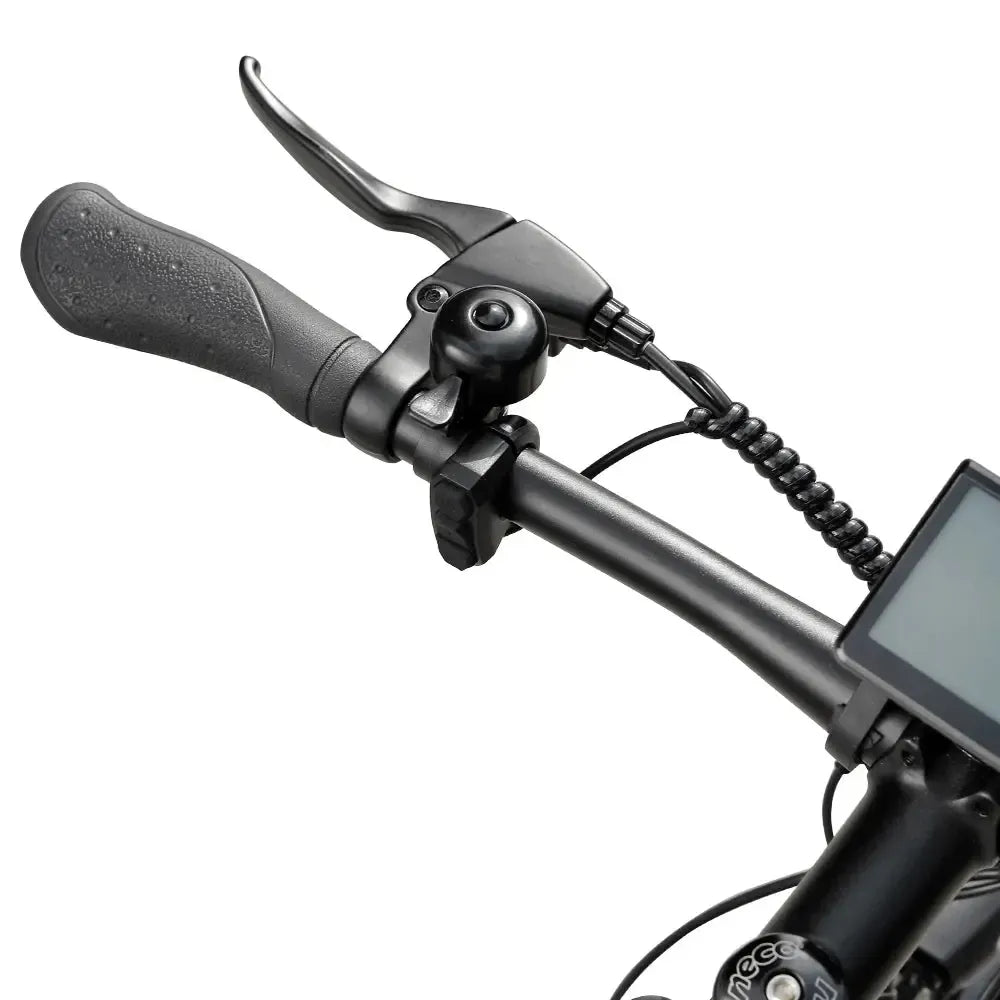 Eleglide T1 Electric Bike