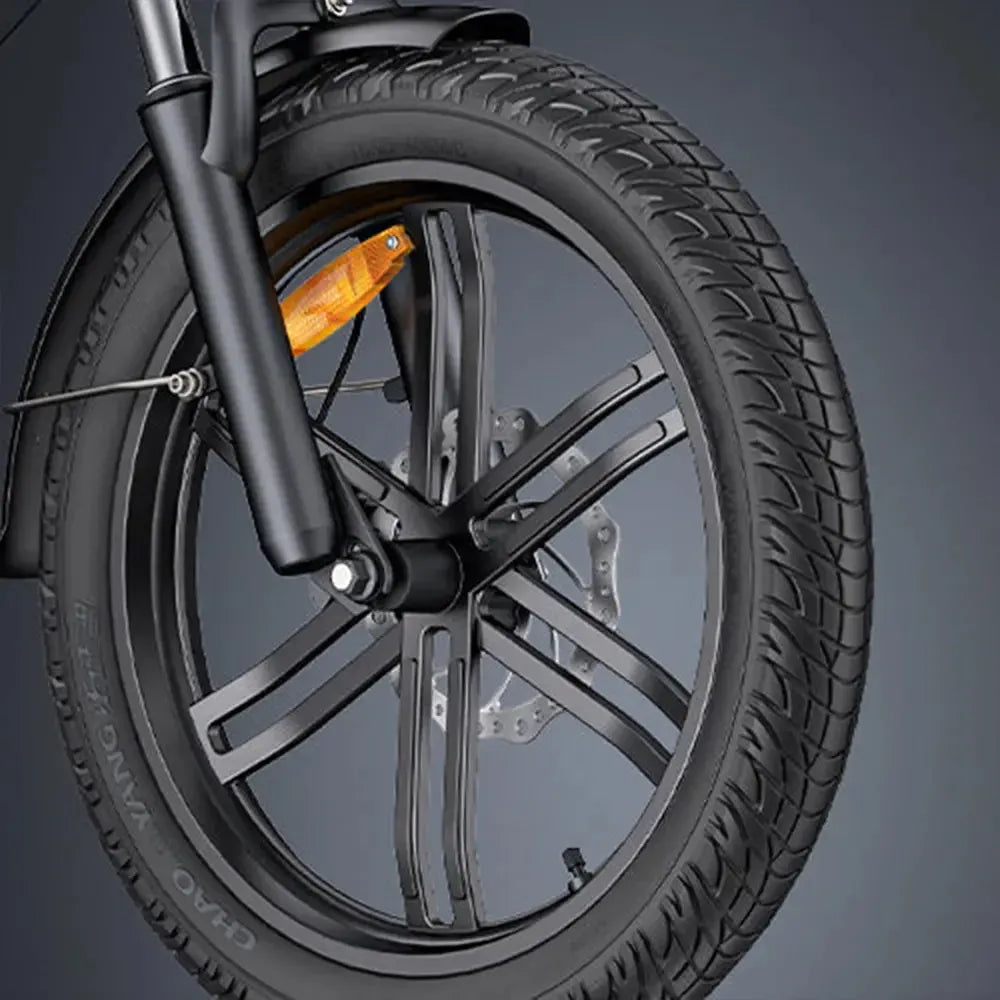 Engwe LE20 Cargo Dual-Battery Electric Bike