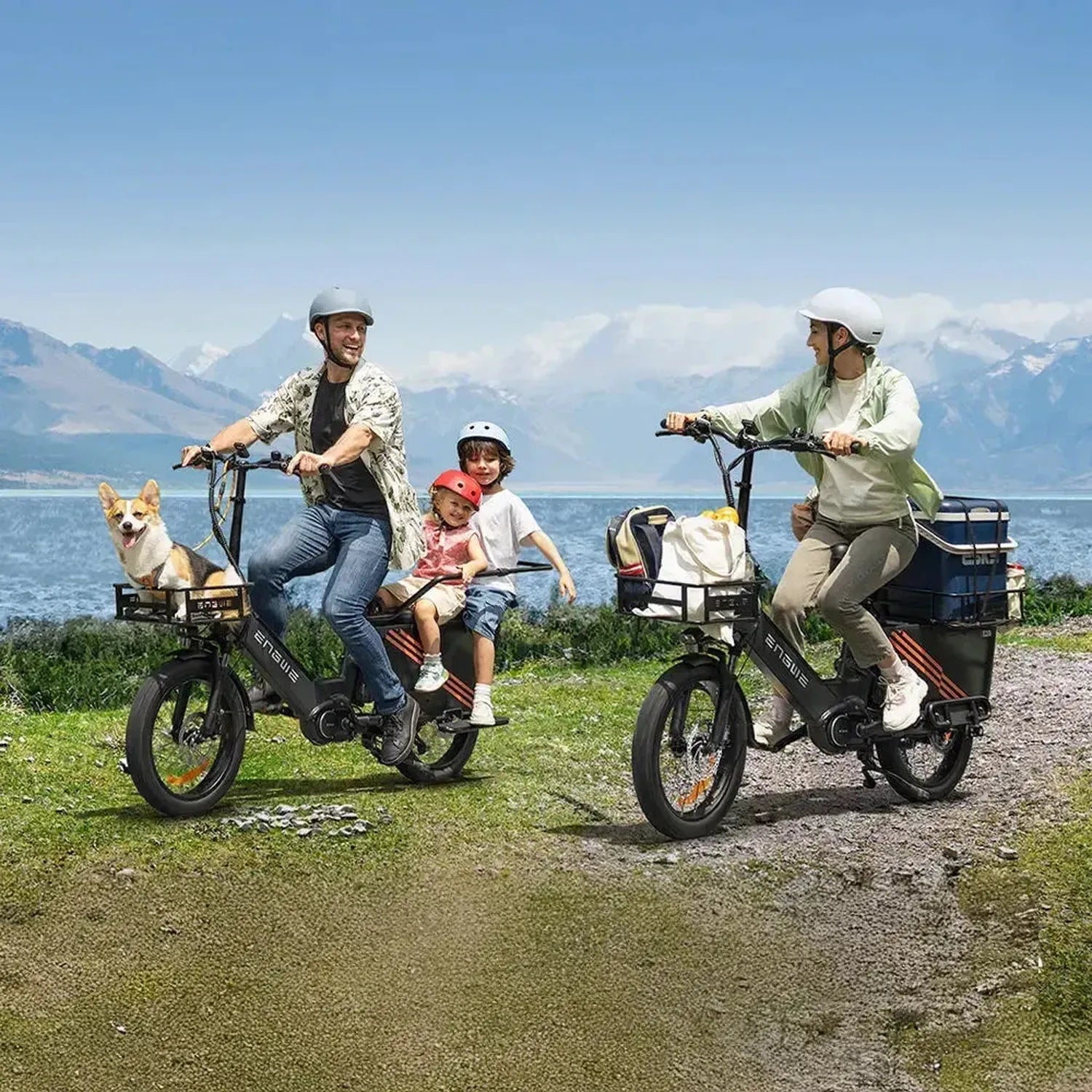 ENGWE LE20 Cargo Dual Battery Electric Bike Long Range Utility Bike up to 25 Km/h