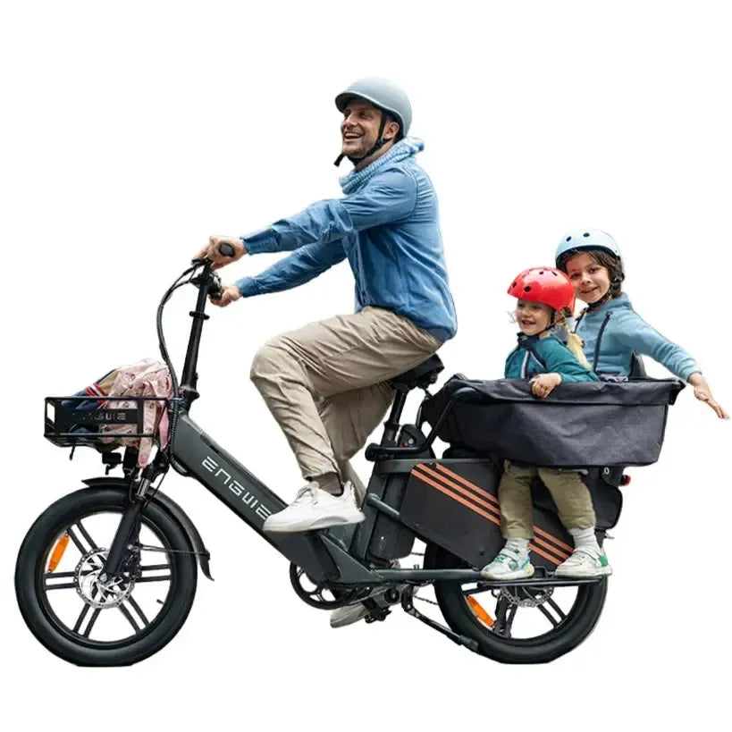Engwe LE20 Cargo Dual-Battery Electric Bike