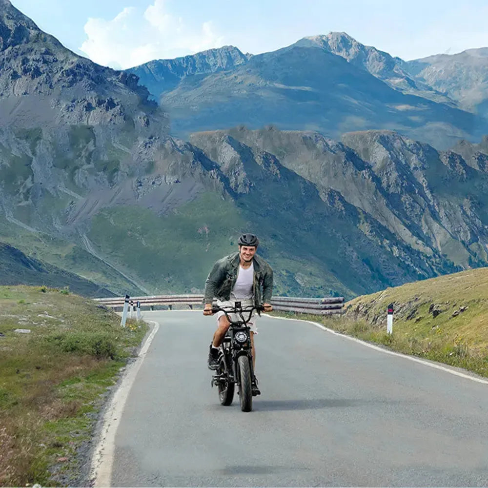 Engwe M1 Dual Battery Electric Bike