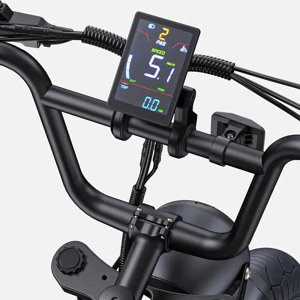 Engwe M1 Dual Battery Electric Bike