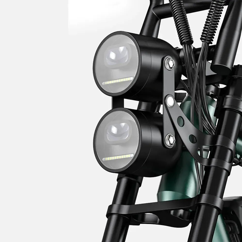 Engwe M20 Dual-Battery Electric Bike