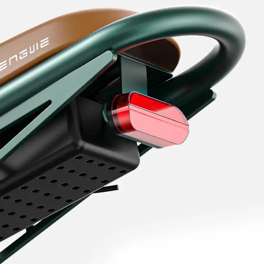 Engwe M20 Dual-Battery Electric Bike