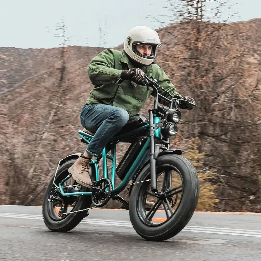 Engwe M20 Dual-Battery Electric Bike