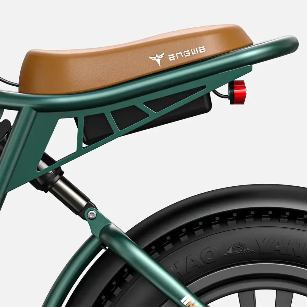 Engwe M20 Dual-Battery Electric Bike