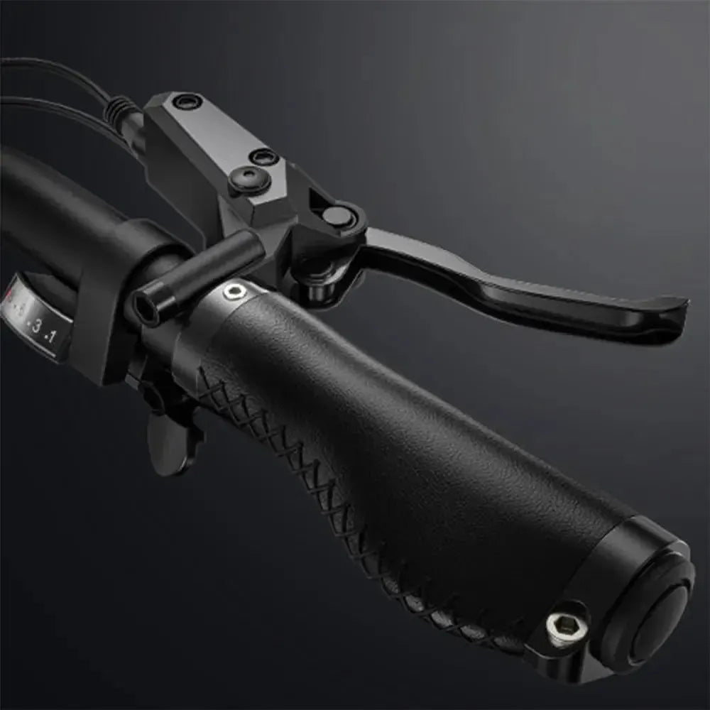 Engwe X24 Dual Battery Electric Bike