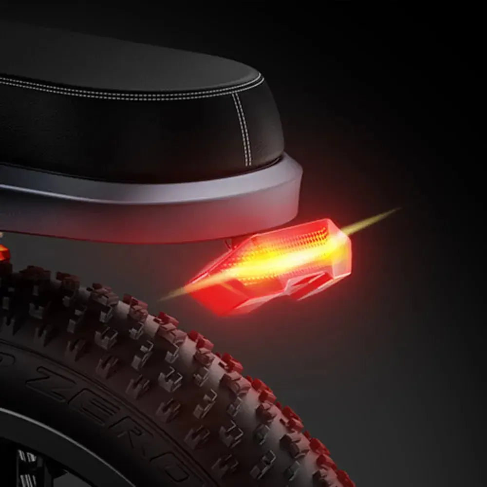 Engwe X24 Dual Battery Electric Bike