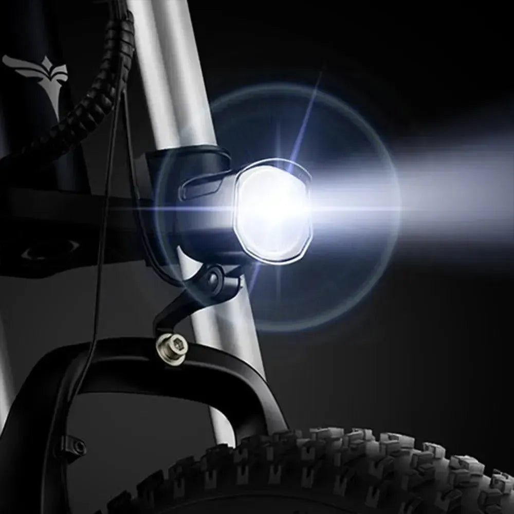 Engwe X24 Dual Battery Electric Bike