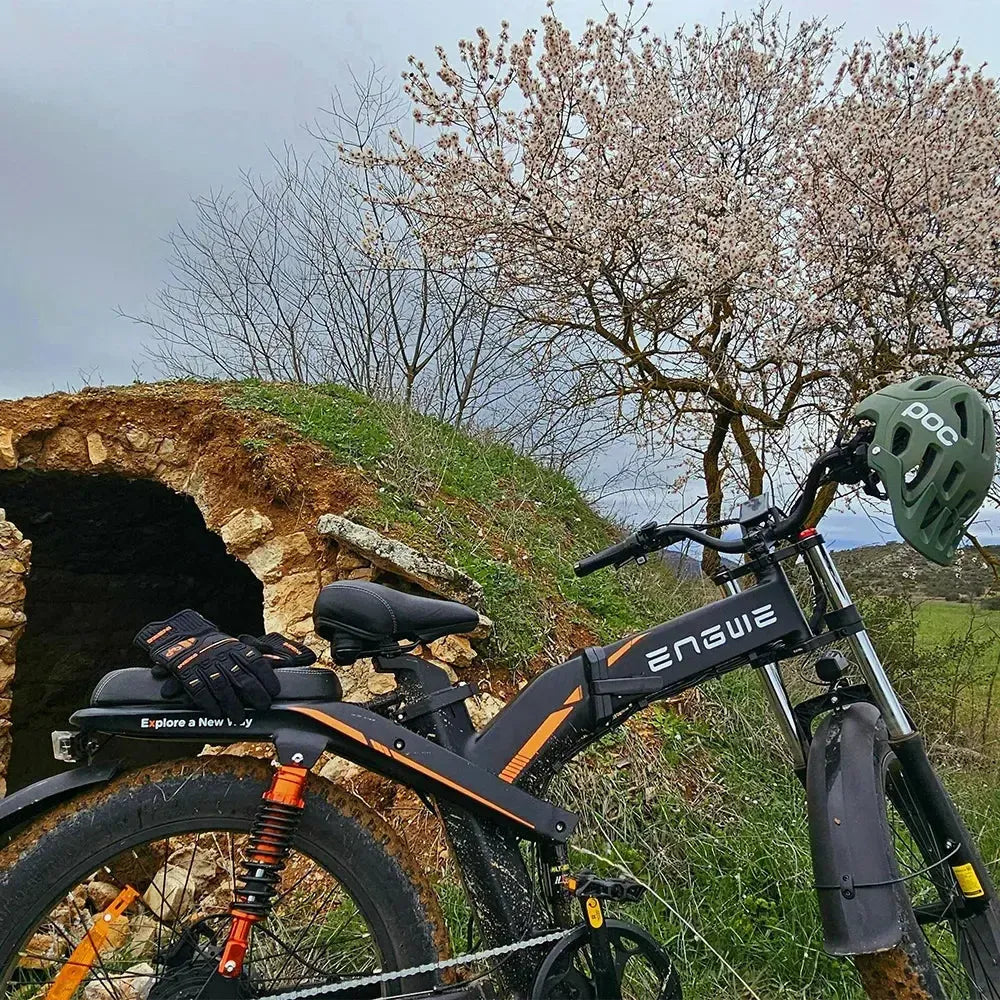 Engwe X24 Dual Battery Electric Bike