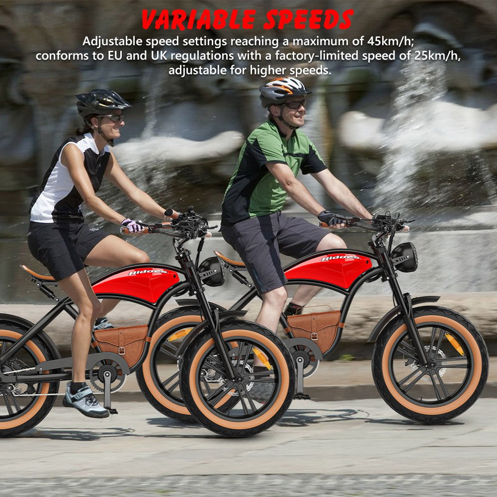 HIDOES B10 ELECTRIC BIKE