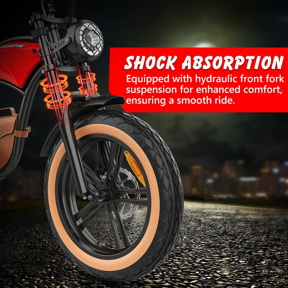 HIDOES B10 ELECTRIC BIKE