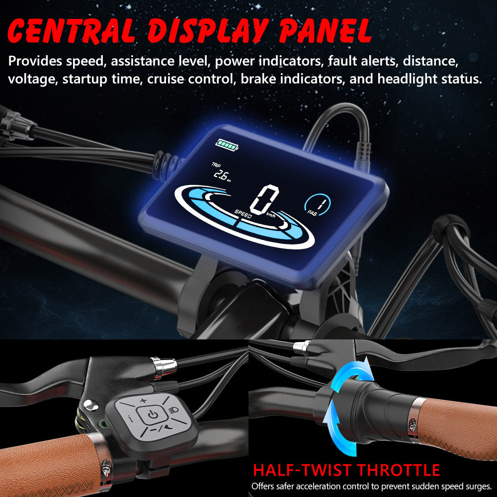 HIDOES B10 ELECTRIC BIKE