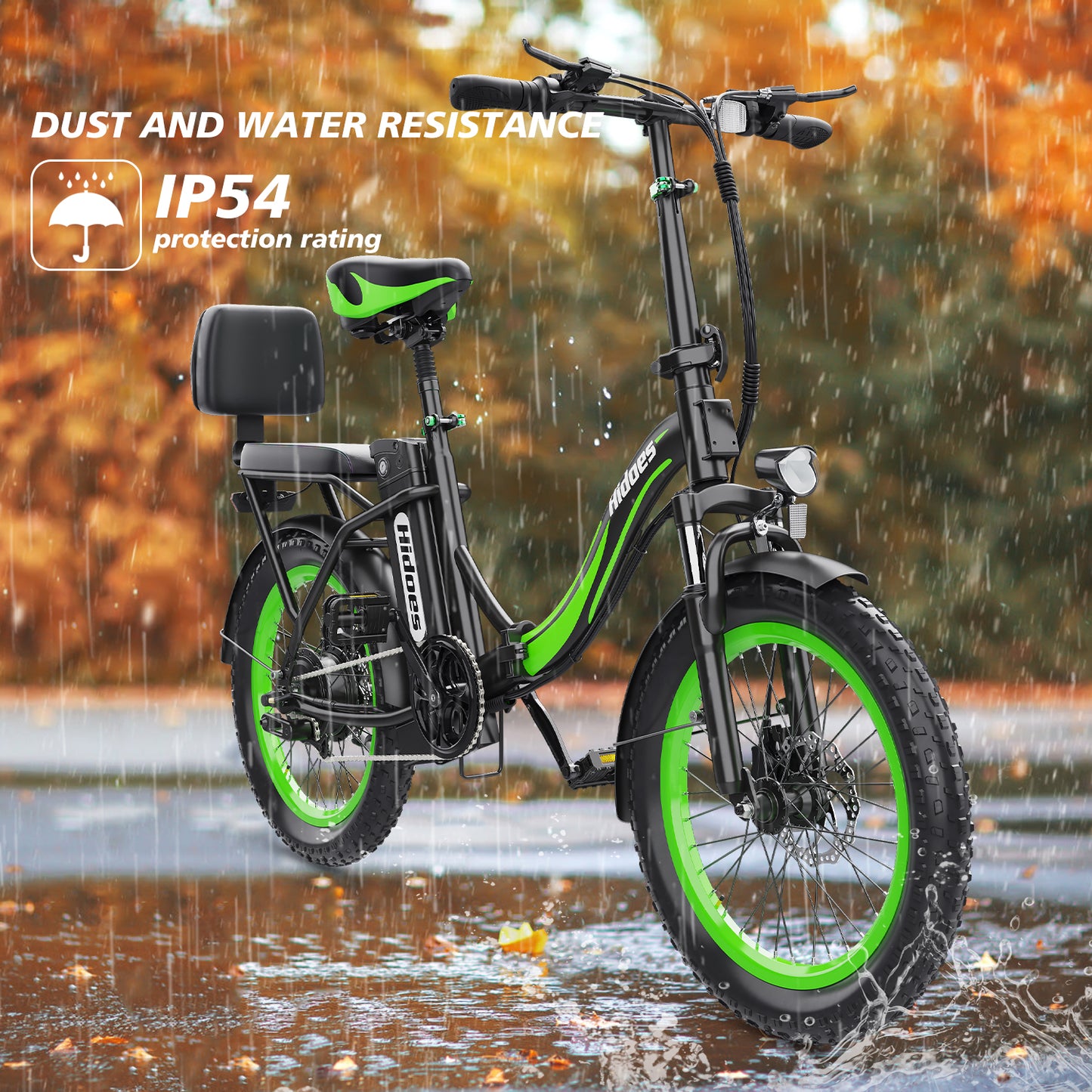 HIDOES C1 ELECTRIC BIKE