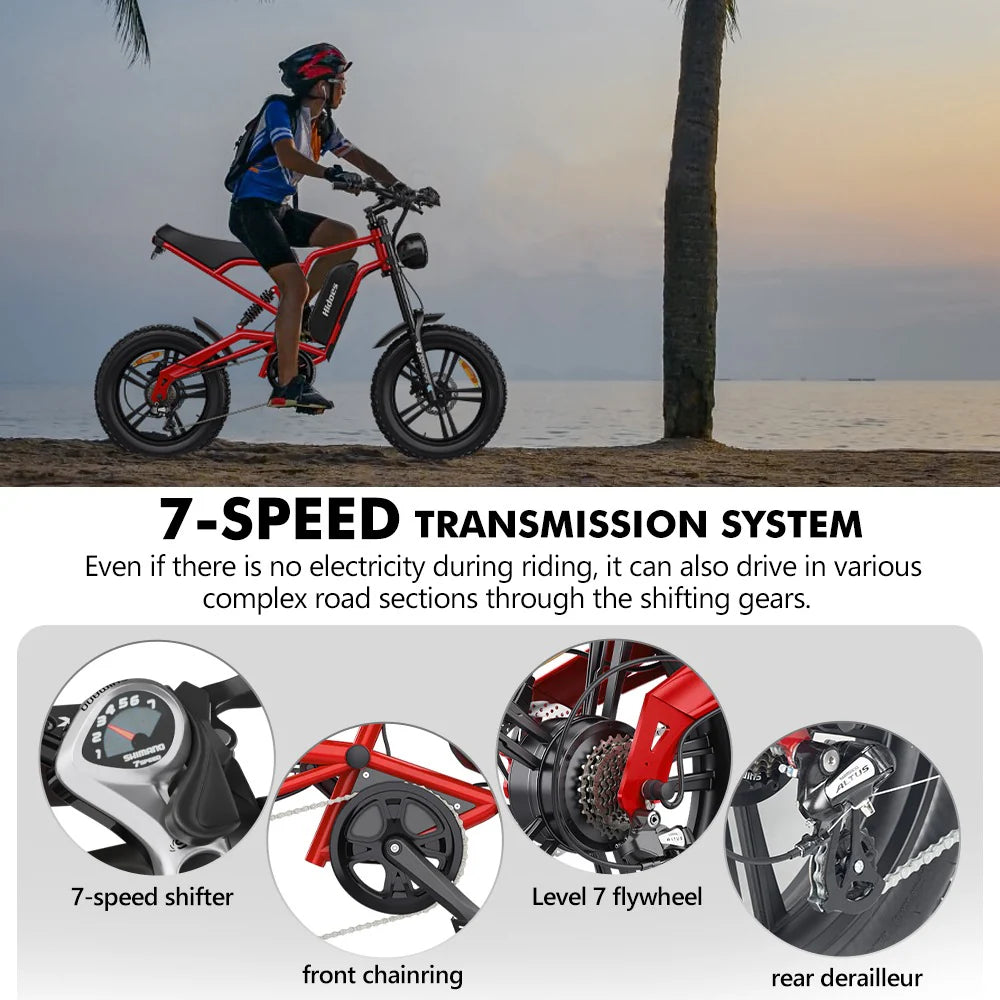 HIDOE B6 ELECTRIC BIKE