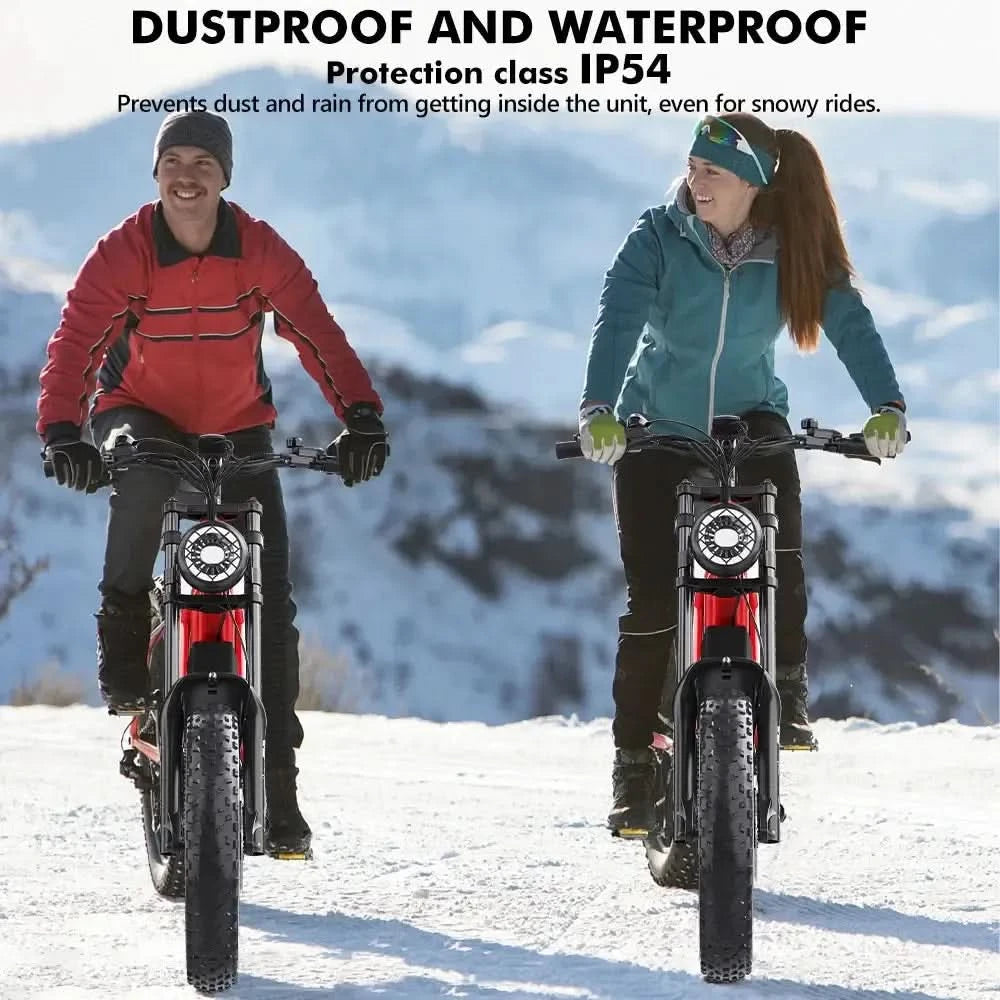 Hidoes B6 Electric Bike