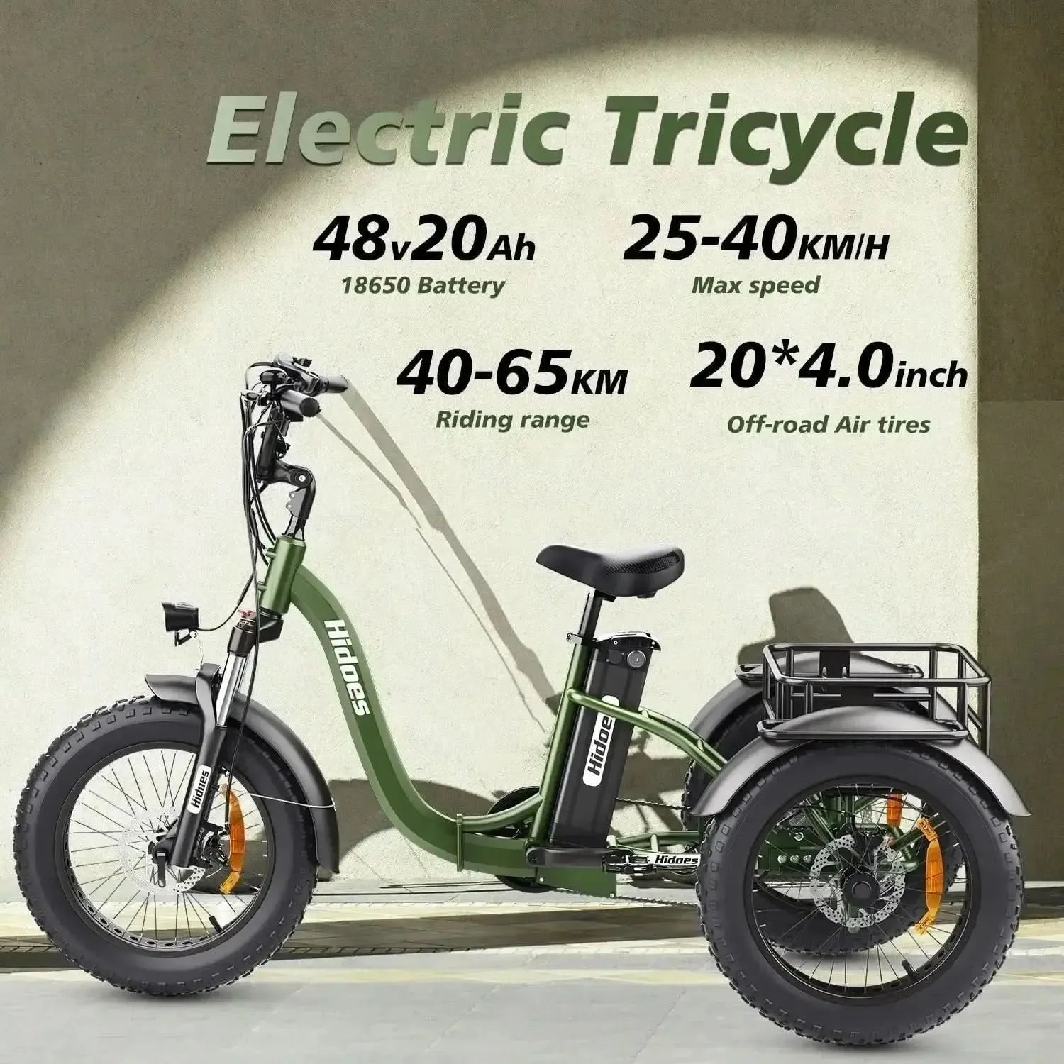 Triciclo bici elettrica Hidoes ET1