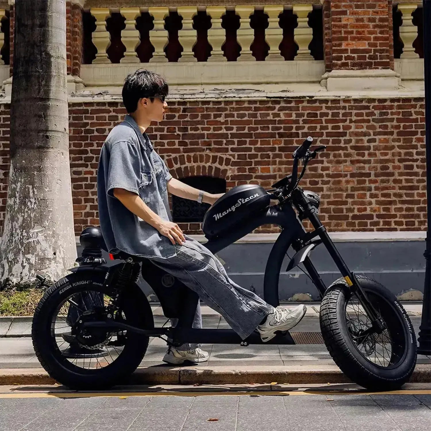 Mangosteen FT02 Electric Bike Chopper Style Long Range Cruiser up to 50 Km/h