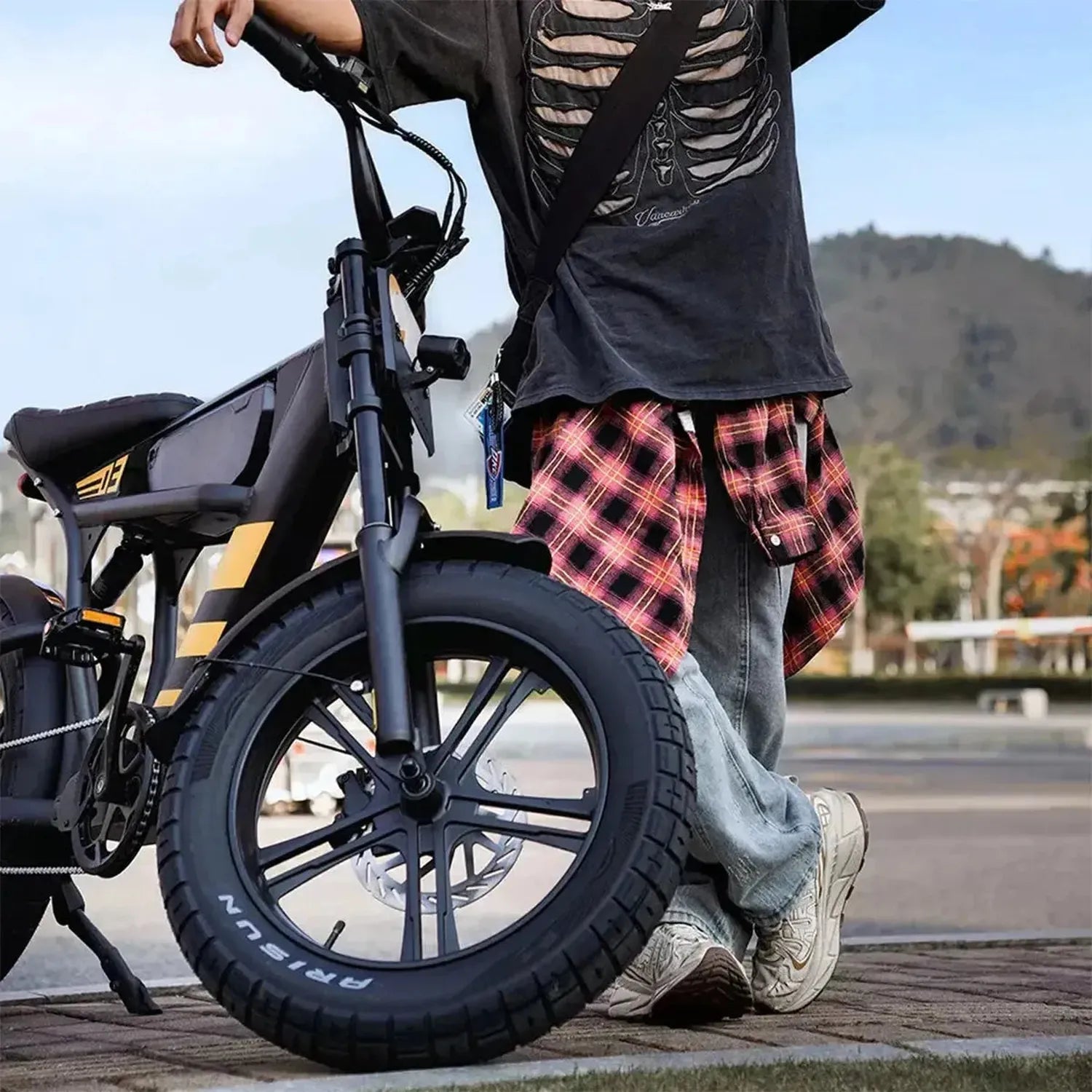 Mangosteen FT03 Electric Bike Fat Tyre Long Range with Hydraulic Brakes up to 50 Km/h