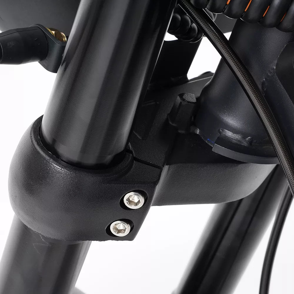 Mangosteen M1P Citycoco Electric Bike Scooter 2026 Upgraded