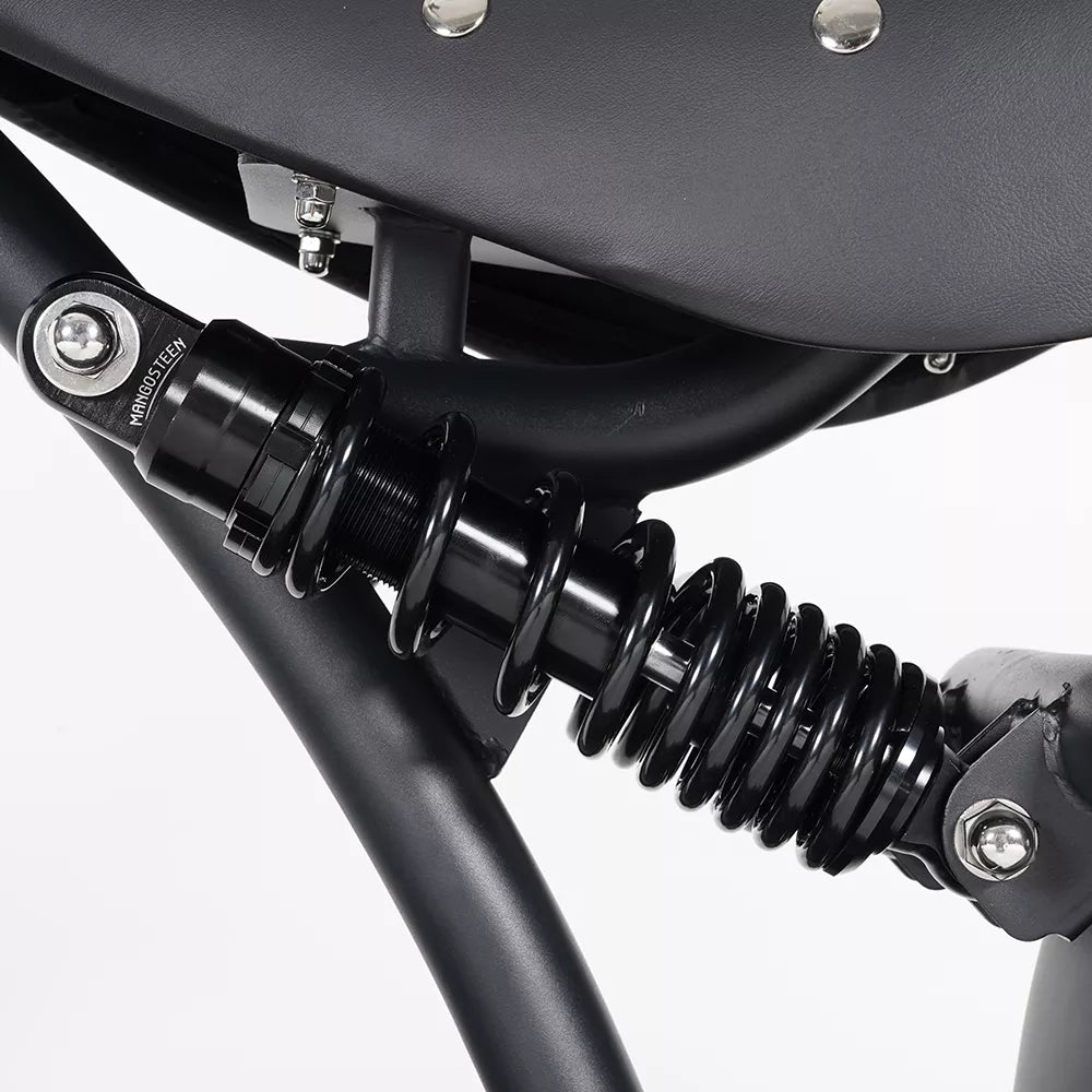 Mangosteen M1P Citycoco Electric Bike Scooter 2026 Upgraded