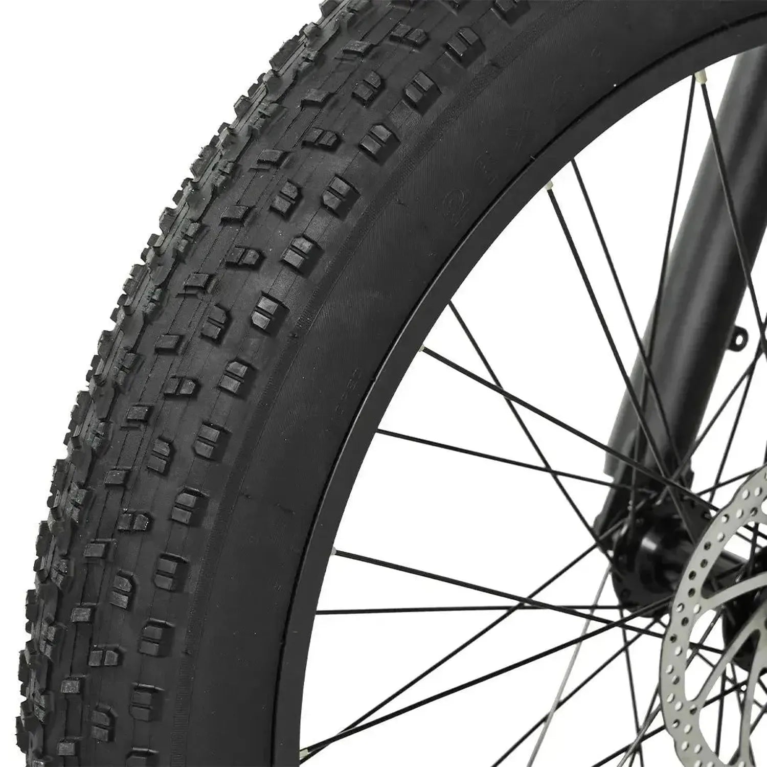 PIXAR Space1 Electric Bike Fat Tyre Long Range with Suspension up to 32 Km/h