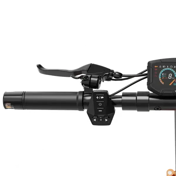 RCB D5 Electric Scooter