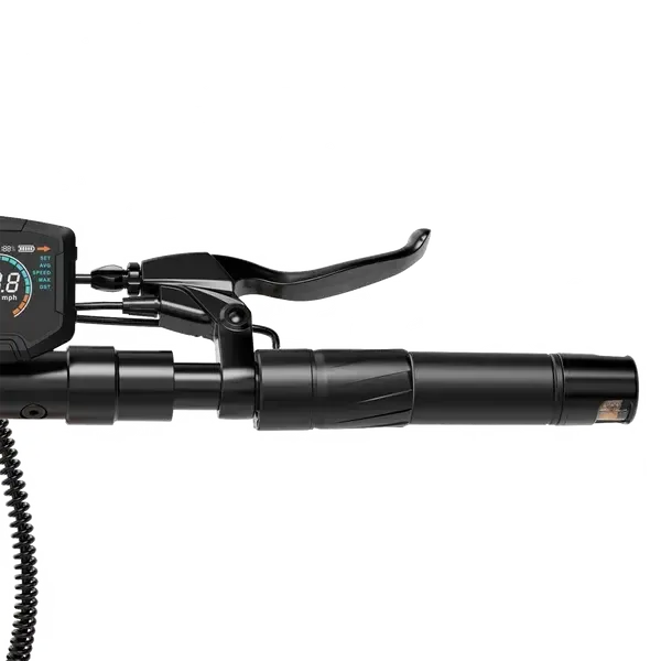 RCB D5 Electric Scooter