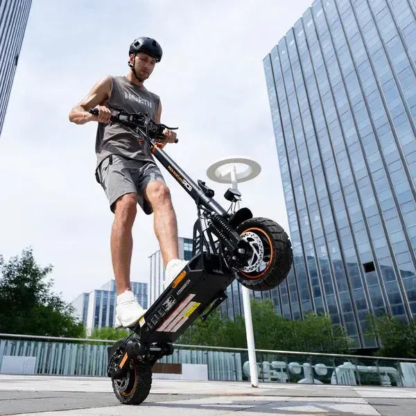 RCB D5 Electric Scooter