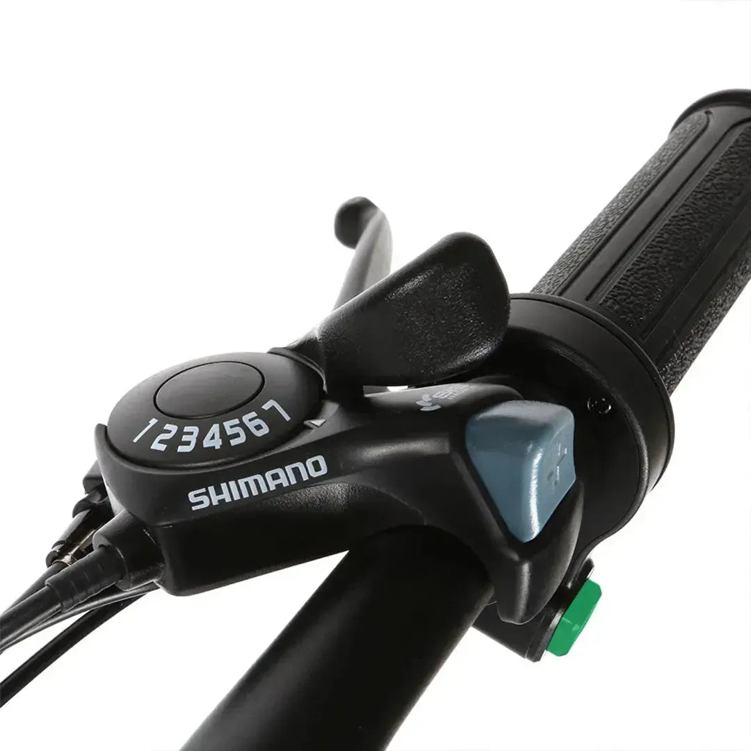 SAMEBIKE 20LVXD30-II Folding Electric Bike