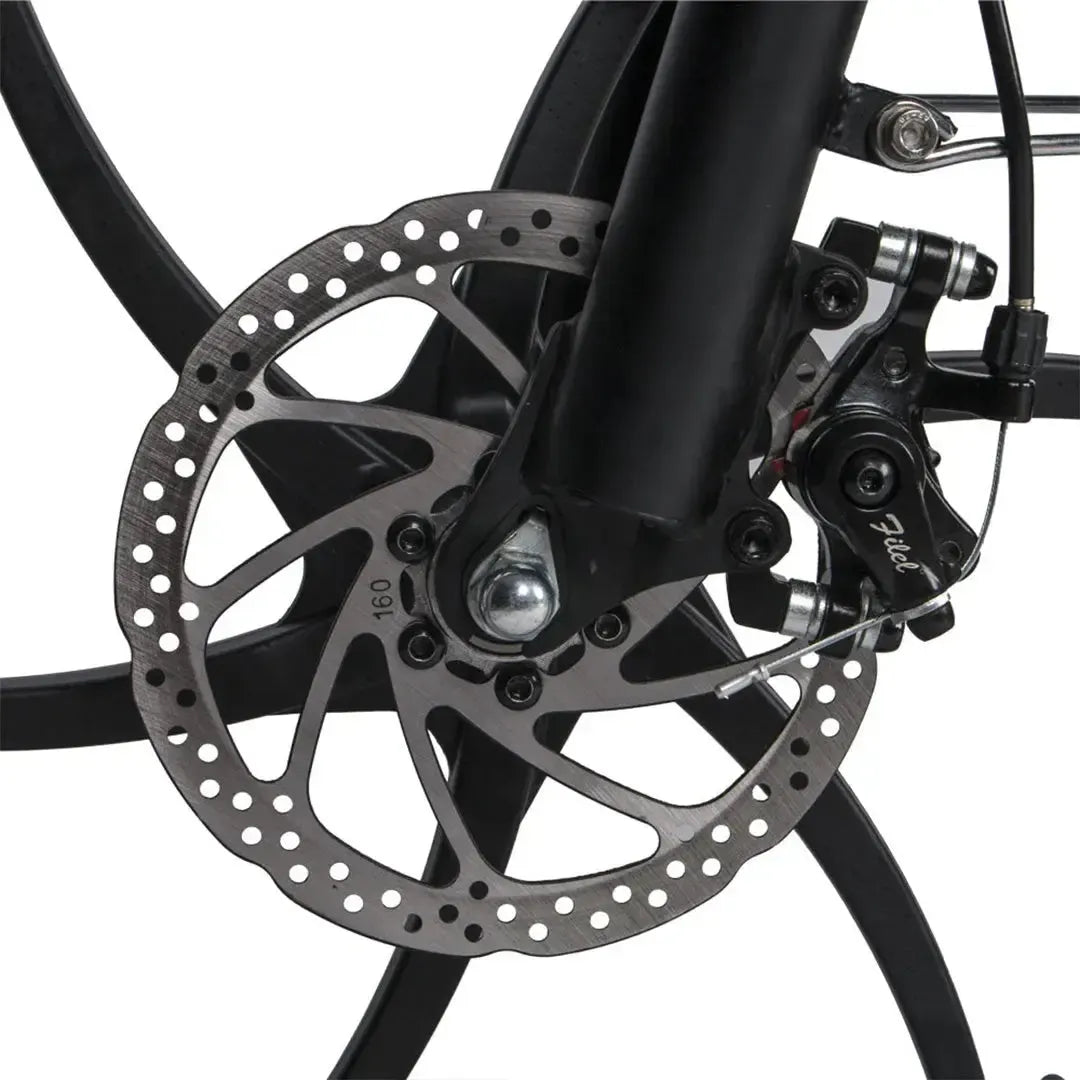 SAMEBIKE 20LVXD30-II Folding Electric Bike