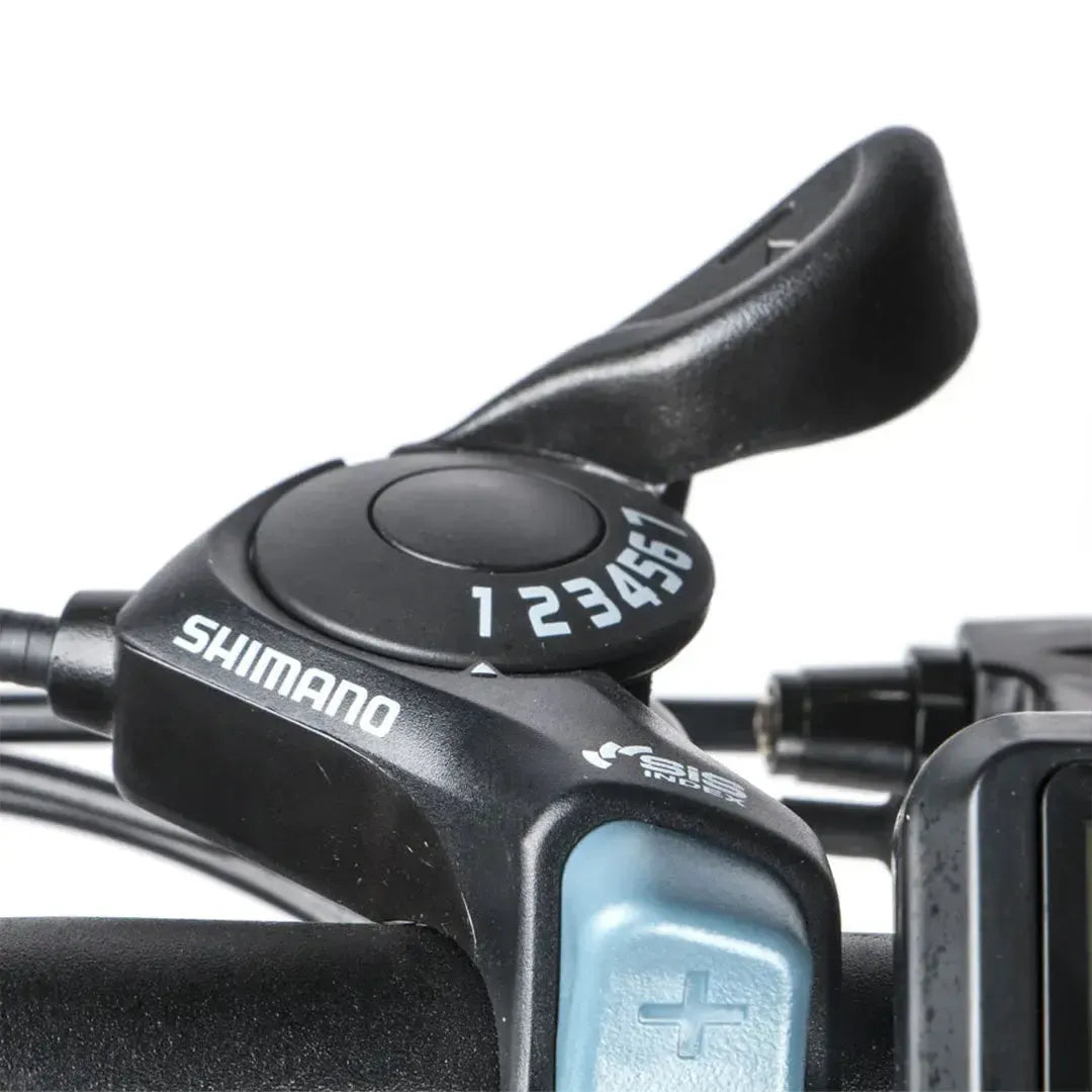 SAMEBIKE 20LVXD30-II Folding Electric Bike
