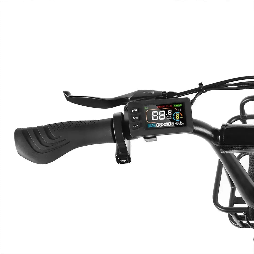 SAMEBIKE C05 Pro Foldable Fat Tyre E-Bike